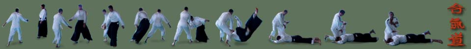 aikido wartenbrg e. v. kote gaeshi (frank und andreas)